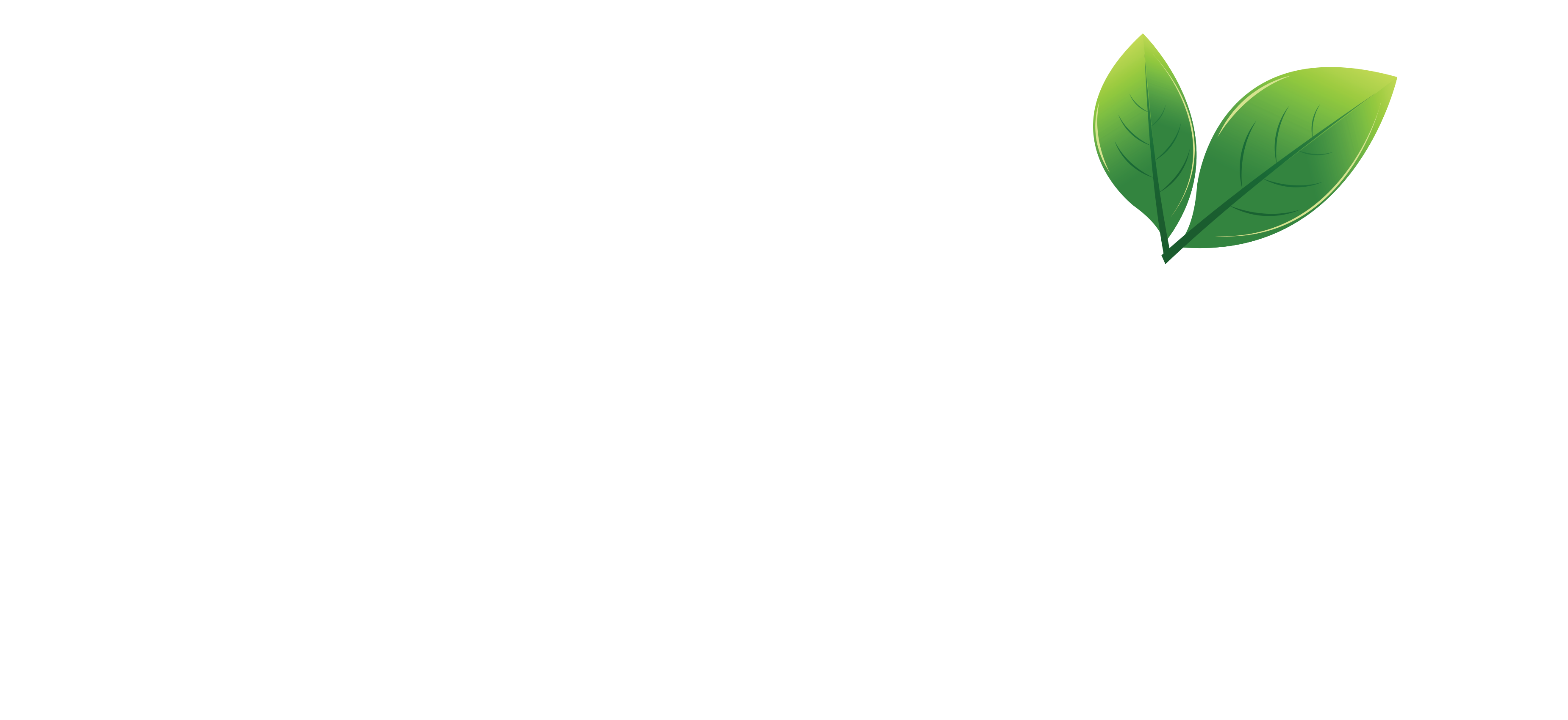 White Text - No Strapline