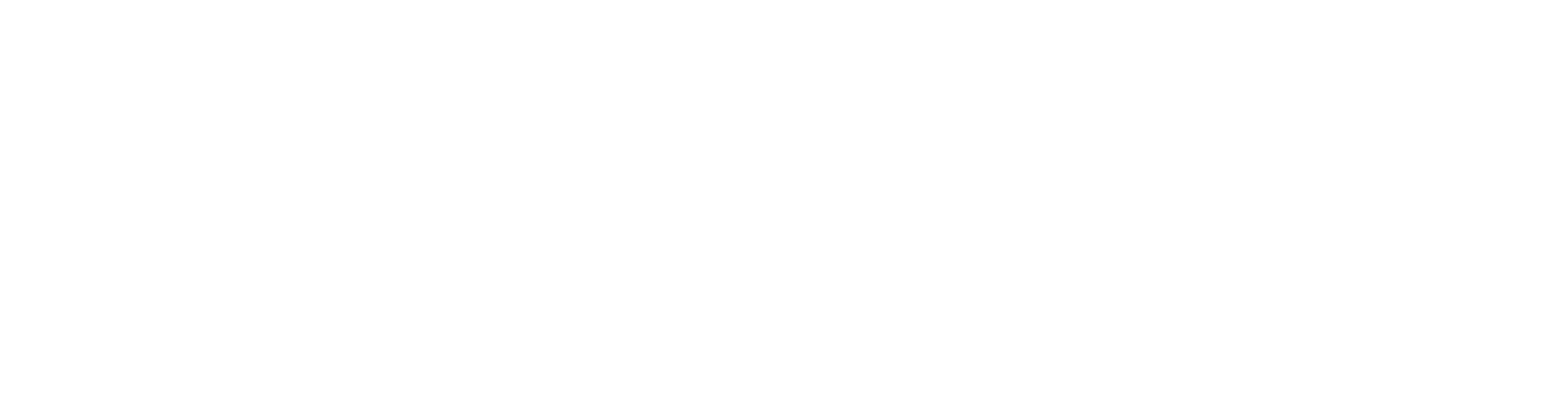 NIBS-Logo_LogoTag-1colorWhite